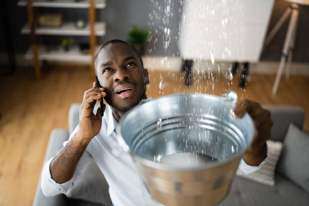 Best Basement water damage restoration  in Salado, TX