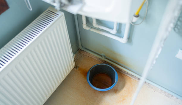Best Flood damage cleanup  in Salado, TX