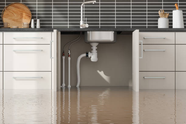 Trusted Salado, TX Water damage restoration Experts