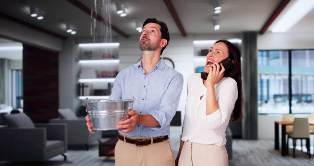  Salado, TX Water damage restoration Pros