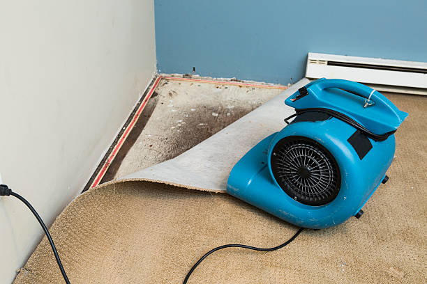 Best Flood damage cleanup  in Salado, TX